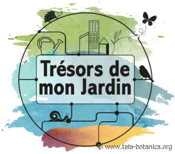 Trésors de mon Jardin à Montpellier et à Toulouse - Tela Botanica