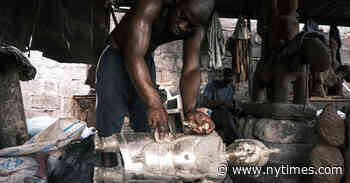In the West the Looted Bronzes Are Museum Pieces. In Nigeria ‘They Are Our Ancestors.’