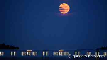 Vat Purnima, Honey, Strawberry, Rose: Here’s How the Upcoming June Full Moon Is Known Across the World
