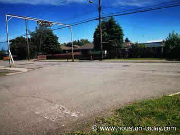 Council locks in community forest profits spending - Houston Today