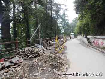 Key Shimla projects delayed as forest clearances awaited - The Tribune