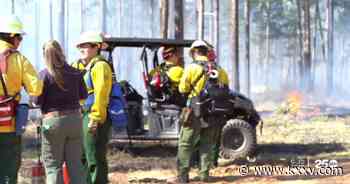 Texas A&M Forest Service deploys to five US states - KXXV News Channel 25