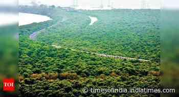 Maharashtra notifies 9,800 hectares mangrove land as reserved forest in 1 year - Times of India