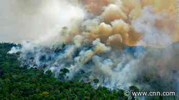 How Brazil's fear of losing the Amazon guides Bolsonaro's policies towards the forest - CNN
