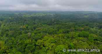 GABON: A model in terms of forest preservation, Libreville receives $17 m from CAFI - AFRIK 21