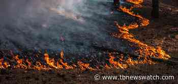 Forest fire update: Nipigon area restrictions lifted - Tbnewswatch.com