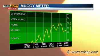 First Alert Weather: Sunshine with warming temps, more humid weather building