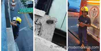 Rescatan a un gatito atrapado en puente de Cuernavaca - Diario de Morelos