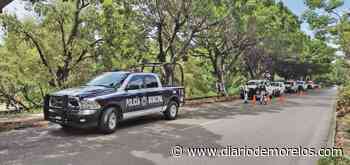 Hallan osamenta en baldío de Cuernavaca - Diario de Morelos