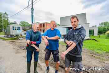 Muggeninvasie teistert Berkenlei: “We moeten ons bijna inpakken als kosmonauten”