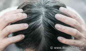Stress does turn hair gray but it might be reversible, scientists say