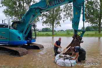 Oude watermolen kan nipt gevrijwaard worden van overstroming veroorzaakt door bevers - Het Nieuwsblad
