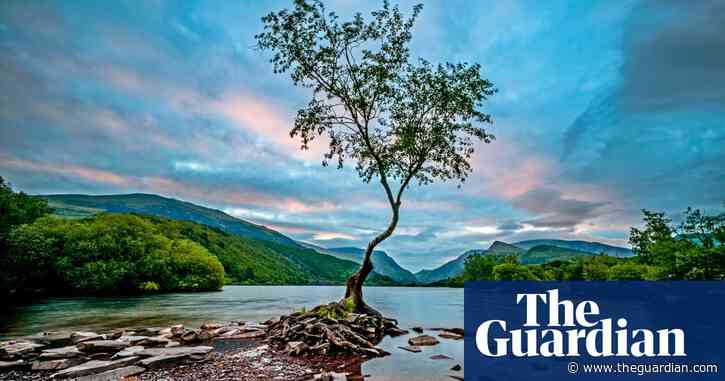 In praise of stillness | Brief letters