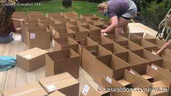 Saskatoon non-profit offers activity boxes for kids delivered right to your door - CTV News Saskatoon