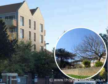 Lewisham: Sydenham Hill Estate plans back to committee