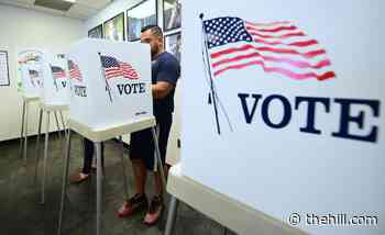 House panel includes $500 million election security grant in proposed appropriations bill