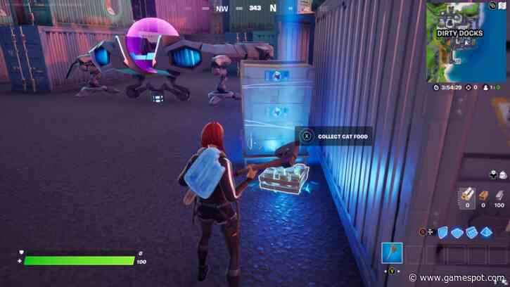 Fortnite: Where To Collect Cat Food