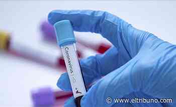 Se notificaron 361 nuevos casos de coronavirus en Salta - El Tribuno.com.ar