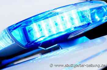 Hauptbahnhof Ulm - 19-Jähriger schlägt Bundespolizist ins Gesicht - Stuttgarter Zeitung