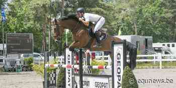 SBB-Competitie voor Jonge Paarden: Niels Reykers wint met Pipa in Lommel - equnews.be
