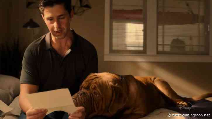 Turner & Hooch Reboot Trailer: Josh Peck Stars in New Disney+ Series