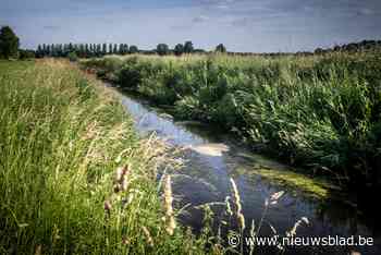Veel te hoge PFOS-waarden in Limburgse waterlopen: “Je eet best geen vis die je hier vangt”