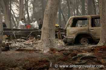 'Forever War' with fire has California battling forests instead – Aldergrove Star - Aldergrove Star