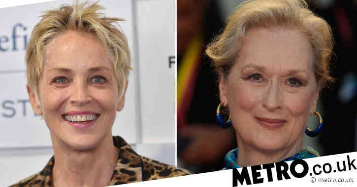 Sharon Stone addresses viral comments about Meryl Streep after internet goes wild