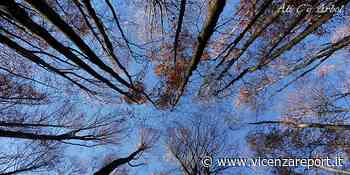 Schio: un laboratorio itinerante di antropologia - Vicenzareport