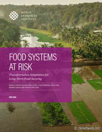 Food Systems at Risk: Transformative Adaptation for Long-Term Food Security - World - ReliefWeb