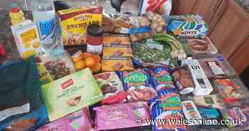 Mum of four paid £10 for a £93 food shop and this is how she did it - Wales Online