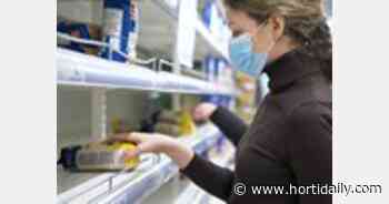 'Food shortages inevitable in UK' - hortidaily.com