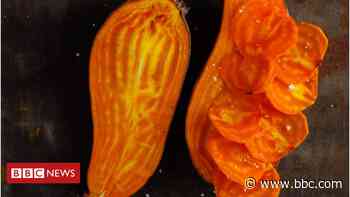 How farmers and scientists are engineering your food - BBC News