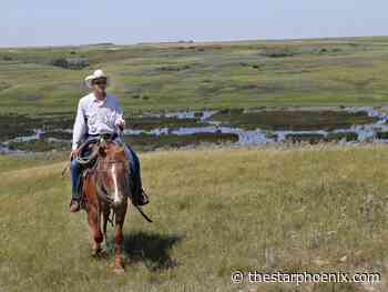 Sask.'s grassland stewardship criticized in national report