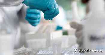 Saskatchewan reports 1 new COVID-19 death as active infections near 600