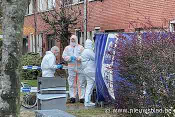 Vrouw overleden na steekpartij in Hoboken, partner opgepakt - Het Nieuwsblad