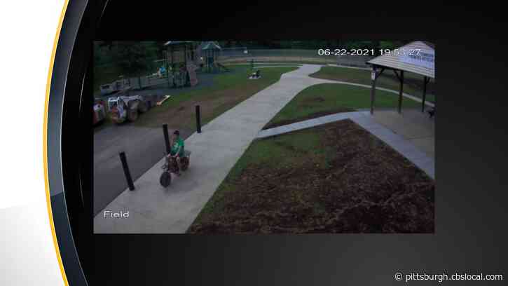 Ross Twp. Police Investigating Vandalism At Denny Park