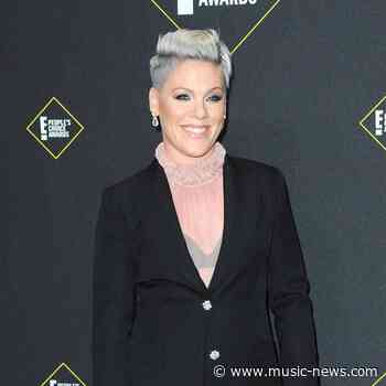 Pink turned to winemaking to get her through the pandemic