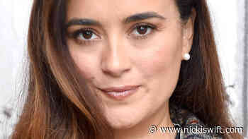 This Might Be Why Cote De Pablo Left NCIS - Nicki Swift