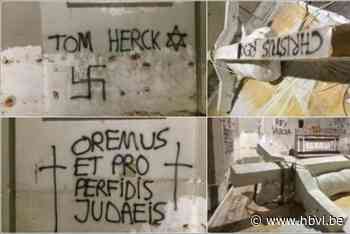 Werkstraffen voor vandalen die 'Holy Cow' van Tom Herck bekladden - Het Belang van Limburg