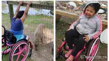 Theft of 9-year-old's wheelchair from front porch captured on surveillance video