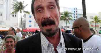 Inside tech mogul John McAfee's life - including 47 children and years on run