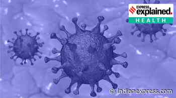 Explained: Low-cost method for finding new variants of coronavirus - The Indian Express
