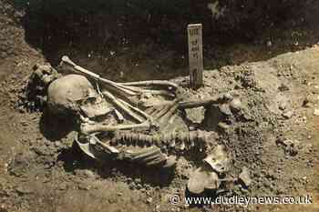 Remains of 3000-year-old shark attack victim found by scientists - Dudley News