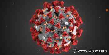 Wisconsin sees small uptick in coronavirus cases, COVID-19 death rate - WBAY
