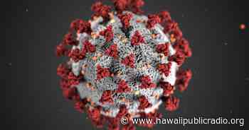 4 Cases of Delta Coronavirus Variant Found in Hawaii - Hawaiipublicradio