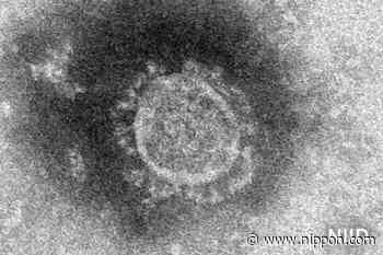 Panel Warns of Rebound in Tokyo-Area Coronavirus Cases - Nippon.com