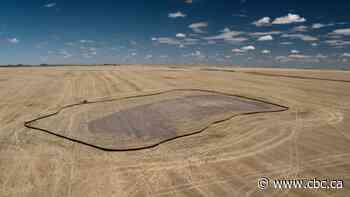 Amazon to purchase power from massive southern Alberta solar farm