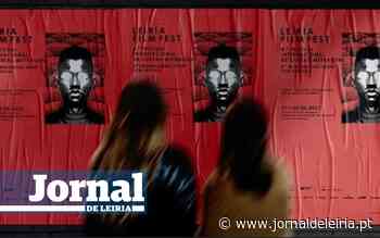 Filme premiados no Leiria Film Fest apresentados em sessões gratuitas no Leiria Shopping - Jornal de Leiria