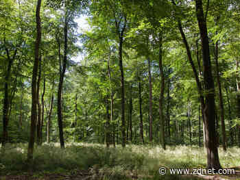 Oracle pledges to power global operations with 100% renewable energy